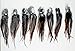 REAL FEATHER HAIR EXTENSIONS - 25 MINI SHORT FLUFFY MIXED NATURALS WITH RINGS & LOOP