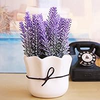 Suchergebnis auf Amazon.de für: Topfblume: Küche, Haushalt