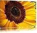 Produktbild Pixxprint große Sonnenblume auf Leinwand, XXL riesige Bilder fertig gerahmt mit Keilrahmen, Kunstdruck auf Wandbild mit Rahmen, günstiger als Gemälde oder Ölbild, kein Poster oder Plakat
