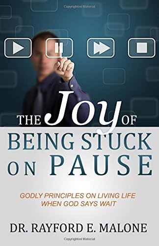 The Joy of Being Stuck on Pause: Godly Principles for Living Life When God Says Wait