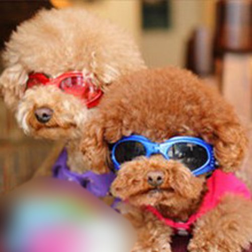 Red-Fashion-Eye-Protection-UV-Goggles-Sunglasses-for-Pet-Dog