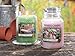 Produktbild Yankee Candle Tealightbox, Teelichter, 12 Stck Garden Hideaway