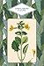 Le Petit livre des fleurs by 