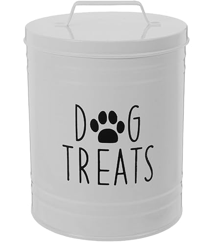 thumbnail image 2 of Amici Pet Marley 96oz Metal Treat Canister - Food Safe, Mint Green Lid With Silver Bone Knob, Rectangular Shape 2 of 13