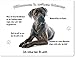 Produktbild Blechschild / Warnschild / Türschild - Aluminium - 20x30cm - - "Willkommen in meinem Zuhause" - Motiv: Cane Corso / Italienischer Mastiff -- 02