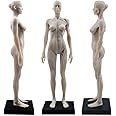 TT DENTAL 11 Inch Female Human Anatomy Model of Art Anatomy Figure(White)