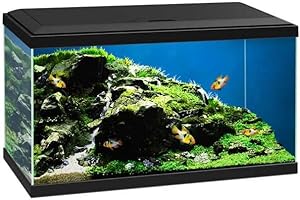 Love Aquatics 60 LED Tropical Glass Black Aquarium - Includes Filter, Lights & Heater 58L Fish Tank With FREE Syphon Kit and Thermometer