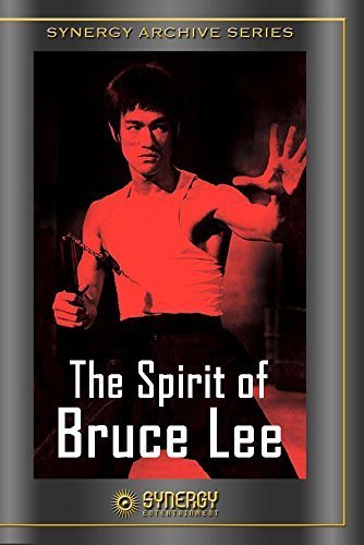 Preisvergleich Produktbild Spirit of Bruce Lee by Wai-Man Chan