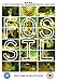 Fossil [DVD]