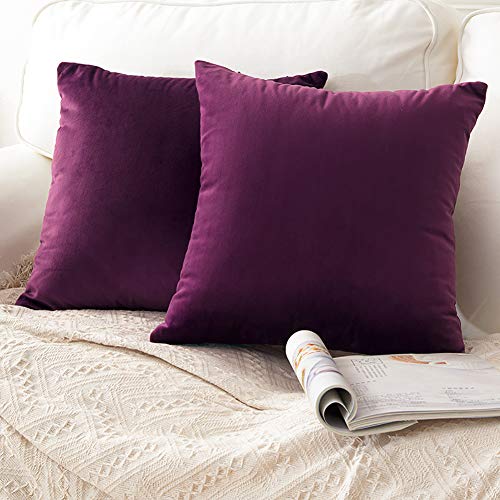 CCRoom Cushion Covers, Pack 2 of Velvet Soft Decorative Cushion Throw Pillow Cases for Sofa Car Bedr