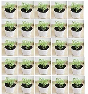 YUVAGREEN LDPE Poly Grow Bags with Flower Plant (White, 24x24x40 cm) - Pack of 10.