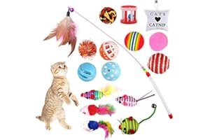 GOLDGE Jouets Chat Interactif, 16 pièces Jouets Chat, Souris, Balles, Baguettes de Plumes pour Kitty interactifs