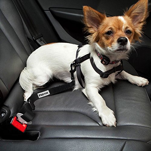 metal dog seat belt