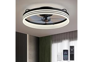 DWDVBL 50cm Ventilateur de Plafond Silencieux avec Lumiere et Telecommande 6 Vitesses et vent Réversible Dimmable LED Ventilateur de Plafond avec lumière avec télécommande pour Salon Chambre à Couche