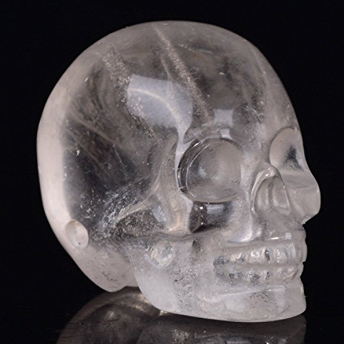 Mineralbiz 1.3 „-1.5“ Mini natürliche klare Quarz Kristall Hand geschnitzte menschliche Kristall Schädel Kopf Skulptur Edelstein Carving - 5