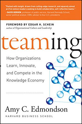 Teaming: How Organizations Learn, Innovate, and Compete in the Knowledge Economy livre
