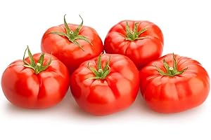 ROOT SOURCE Red Beef Tomato Plug Plants "Grow Your Own" Fruit from our Premium Quality Plants 'Ready to Plant Now' Young Vegetable Plants (3)