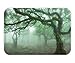 Produktbild Doormat Farm House Decor Collection Laurel Forest in Portugal Foggy October Day Wild Magical Exotic Nature Photo Print Polyester Fabric Bathroom Long Green.jpg 15.7X23.6 Inches/40X60cm