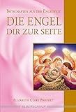 Die Engel dir zur Seite: Botschaften aus der Engelwelt by 