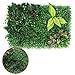 Produktbild YNFNGXU Künstliche Hecke Nachahmung Grünes Blatt Sichtschutz Hintergrund Panel Plaid Garten Gefälschte Zaun Matte Wanddekoration 40x60 cm (Farbe : 04, größe : 40x60cm)