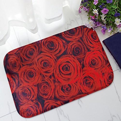 KKY-ENTER Simple Fashion 3D Stereoscopic Red Roses Pattern Printed Flowers Carpet Kitchen Absorbent Non-slip Mats Bathroom Non-slip Mat ( Size : 60*90cm )
