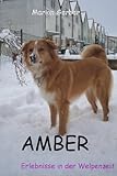 Cover zum Buch AMBER: Erlebnisse in der Welpenzeit