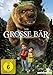 Der große Bär