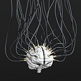 Image de Computer Consciousness Anomalies Of 9-11 (Best of The Heavy Stuff) (English Edition)