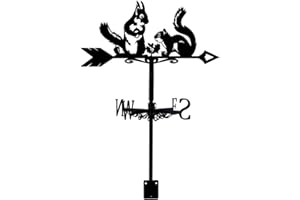 SUPERDANT Girouette de Jardin Exterieur Écureuil Girouettes en Métal pour Toit de Cour Jardin Panneau de Direction Gireuette en Fer Forgé Deco Jardin Exterieur