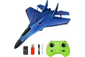 WDKXCN RC Flugzeug 2CH, 2.4Ghz Ferngesteuertes Flugzeug Spielzeug Styroporflieger mit LED-Licht, Ferngesteuerte Flugzeuge mit Fernsteuerung und USB Aufladung, RC Airplane für Erwachsene