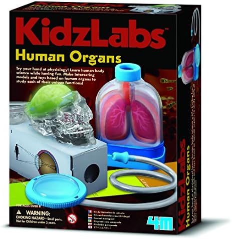 Simple To Do Science Xmas or Birthday Gifts For Boys & Girls Age 8+ Number 1 Selling Kidz Labs - Human Body Organs Set
