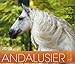 Andalusier 2014 Kalender: Andalusische Pferde - 46x39 cm by 