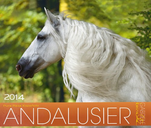 Andalusier 2014 Kalender: Andalusische Pferde - 46x39 cm
