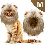 Maravilloso disfraz de Halloween con su mascota: en la fiesta de Halloween o cosplay con sus gatos vistiendo este disfraz, es muy adecuado para su disfraz de Halloween con su mascota con esa ropa
