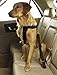 Produktbild Guardian Gear Ride Recht Classic Car Geschirre – Stabilem Nylon Geschirre für Hunde – XS
