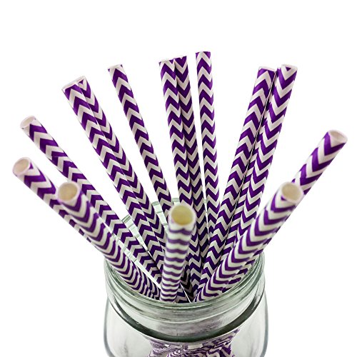 ipalmay Halloween pajitas de papel biodegradable caja de 150 Purple Chevron