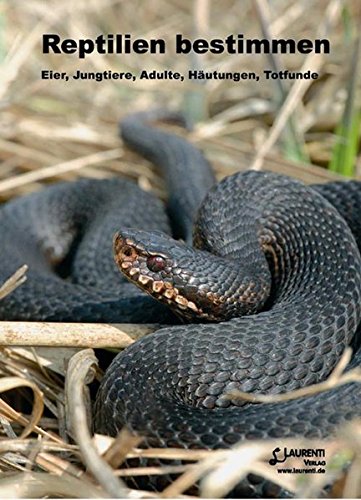 Preisvergleich Produktbild Reptilien bestimmen: Eier, Jungtiere, Adulte, Häutungen, Totfunde (Zeitschrift f. Feldherpetologie - Supplemente)