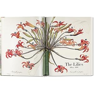 Redouté. Le livre des fleurs