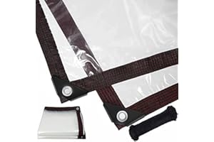 QOFLY Telone trasparente, 3 x 5 m, per esterni, con occhielli, impermeabile, resistente alle intemperie, pieghevole, telo multiuso per la protezione dalle intemperie, corda inclusa