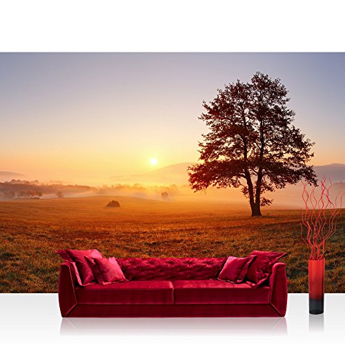 Vlies Fototapete 400x280 cm - Top ! PREMIUM PLUS Foto Tapete ! Wandbilder XXL Wandbild Bild Fototapeten Tapeten Wandtapete Wanddeko Wand Sonnenaufgang Baum Natur - no. 238
