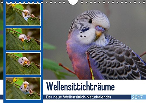 Download Wellensittichträume - Der neue Wellensittich-Naturkalender (Wandkalender 2017 DIN A4 quer): Ein wahrer Blickfang: Wunderschöne, naturnahe Aufnahmen ... (Monatskalender, 14 Seiten ) (CALVENDO Tiere) Download Wellensittichträume - Der neue Wellensittich-Naturkalender (Wandkalender 2017 DIN A4 quer): Ein wahrer Blickfang: Wunderschöne, naturnahe Aufnahmen ... (Monatskalender, 14 Seiten ) (CALVENDO Tiere)