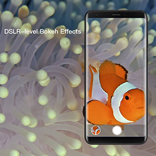 Ulefone MIX2 5,7 Pollici HD+ 18:9 4G Smartphone, Android 7.0 MTK6737H Quad Core 1.3GHz, 2GB RAM 16GB ROM, Dual Fotocamera Posteriore, Fingerprint ID, Dual SIM, 3380mAh Batteria, Blu