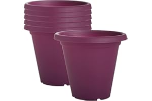 Clever Pots Plastic Plant Pot, 6x19cm Outdoor or Indoor Plant Pot with Drainage Holes, Lightweight and Weather Resistant Planter for Flowers and Plants, Ideal for Garden, Decking & Patios, Orchid