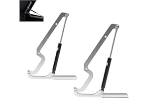 Easyhomie 2 Stück Gasdruckheber für Gartenbox, Auflagenbox, Brightwood, Brushwood, Westwood, Eastwood, Borneo, Denali, Darwin (Schrauben nicht im Lieferumfang enthalten)