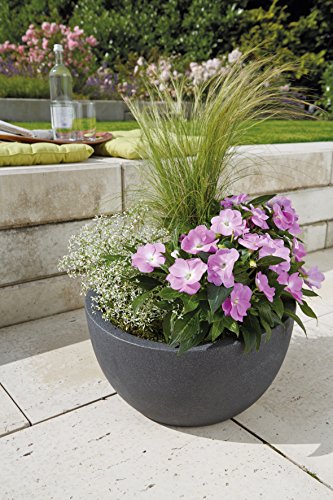 Scheurich Wave Globe Pflanzschale Schwarz-Granit Ø 40 cm, Höhe 21 cm - 2