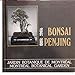 Bonsai penjing
