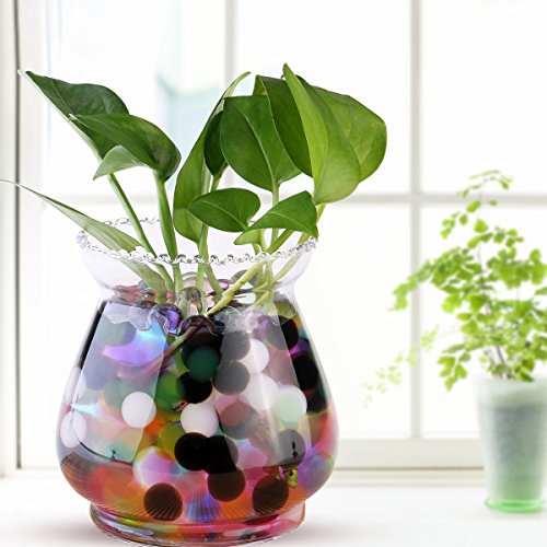 Wasserperlen Gelperlen Aquaperlen Deko Aqualinos Hydroperlen Für Die Bewässerung Der Pflanzen 2000pcs(Zufällige Farbe) - 2