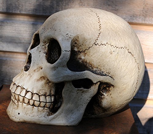 eindrucksvolle XXL Spardose Schädel Skull Totenkopf - 4