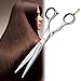 ACEVIVI 6.5" Stainless Steel Professional Barber Hair-cutting Scissors / Shears - Adjustable Tension and Finger Inserts, Sharp Blades for Easy Hairstyling and Trimming