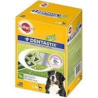 Pedigree DentaStix Fresh Hundeleckerli für große Hunde, Kausnack gegen Zahnsteinbildung, Für gesunde Zähne und einen frischen Atem, 1er Pack (1 x 4 Pack)